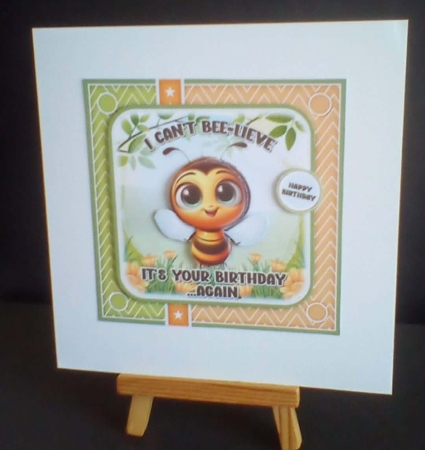 Cant Bee-lieve by Benita Jenkinson