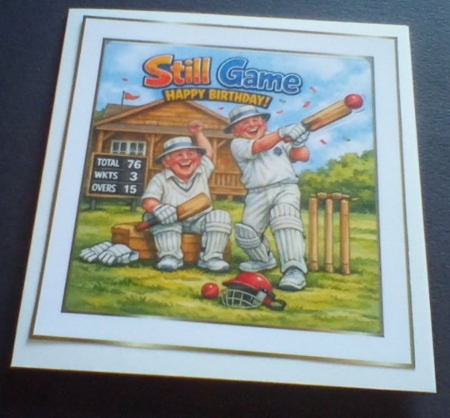 still game cricket by Benita Jenkinson