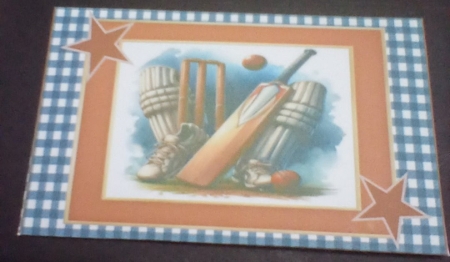 Cricket - Money Wallet by Benita Jenkinson