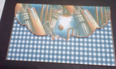 Cricket - Money Wallet by Benita Jenkinson