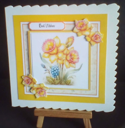 Spring Daffodils by Benita Jenkinson