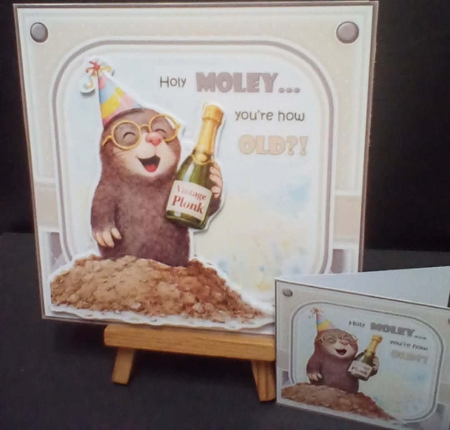 Holy Moley! by Benita Jenkinson