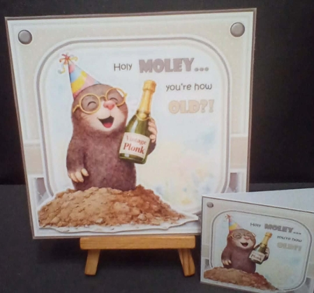 Holy Moley! by Benita Jenkinson