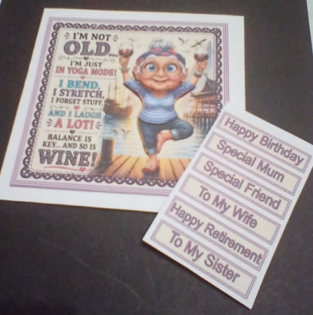 Im Not Old Mini Kit 2 by Benita Jenkinson