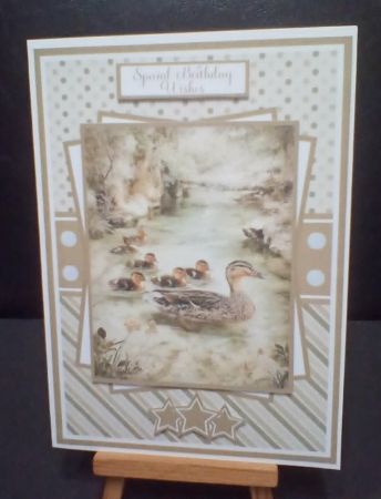 Woodland Ducks Mini Kit 5x7 (3) Plus Bonus by Benita Jenkinson
