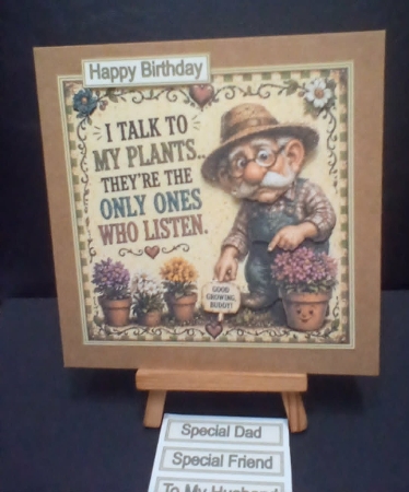 I Talk To My Plants Mini Kit  by Benita Jenkinson