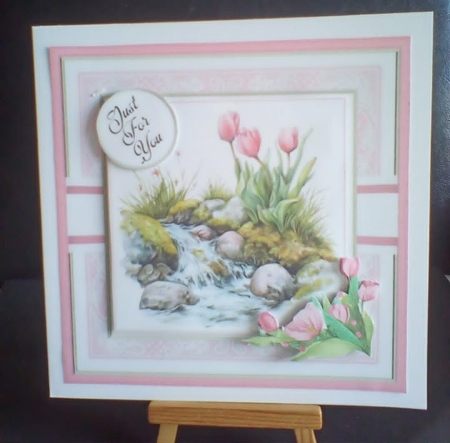 Wild Tulips by Benita Jenkinson