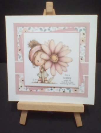 Not A Daisy Goes By by Benita Jenkinson