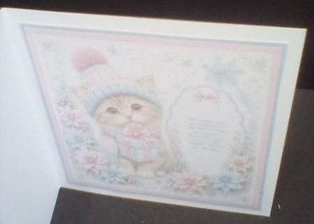 The Purrfect Gift by Benita Jenkinson