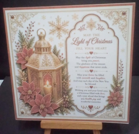 The Light Of Christmas by Benita Jenkinson
