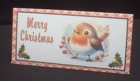 Money wallet Cute Robin by Benita Jenkinson