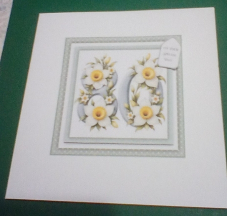 Daffodil Milestone Collection Featured Gallery Photo