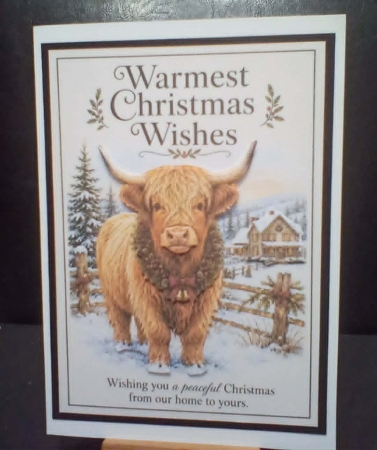 Warmest Christmas Wishes  by Benita Jenkinson