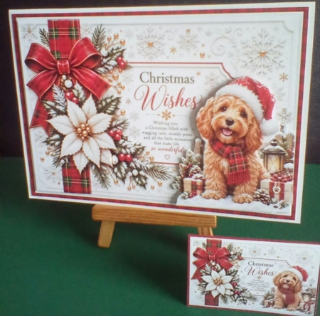 Have A Woofly Christmas! by Benita Jenkinson