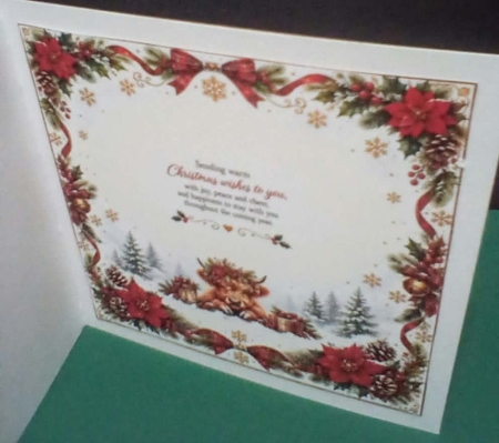 Highland Winter Mini Kit   by Benita Jenkinson