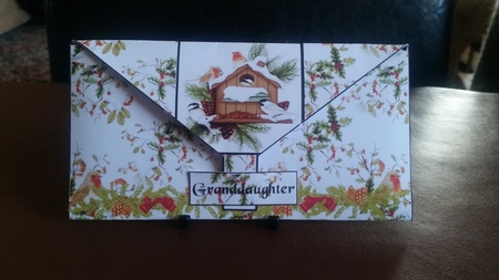 Robin Money Envelope by Benita Jenkinson