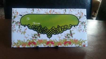 Robin Money Envelope by Benita Jenkinson