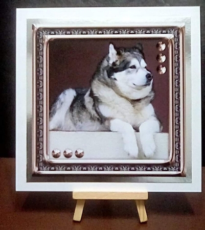 JJ LOVE MY ALASKAN MALAMUTE 8X8 1 by Benita Jenkinson