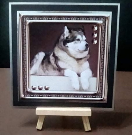 JJ LOVE MY ALASKAN MALAMUTES 8X8 INSERT HAPPY BIRTHDAY by Benita Jenkinson