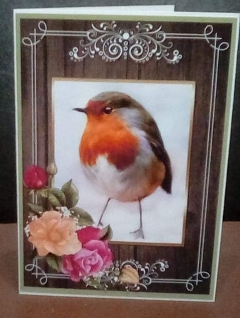 ROSEY ROBIN by Benita Jenkinson