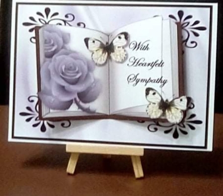 Bumperkit 8 Book Quick Cards Various by Benita Jenkinson