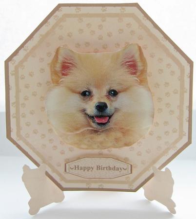 Pomeranian Plate Shaped Card & Stand by Berit Zakrisson