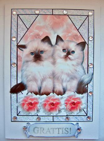 Beautiful Kittens by Berit Zakrisson