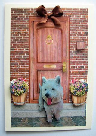 Westie on a Door Step by Berit Zakrisson