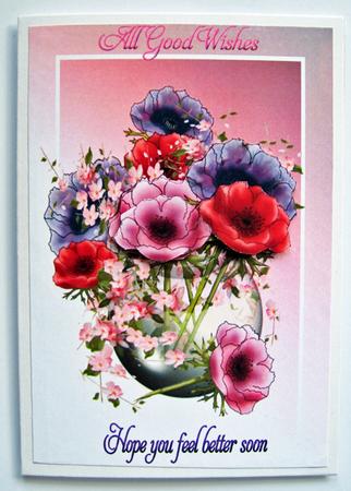Get Well Anemones by Berit Zakrisson