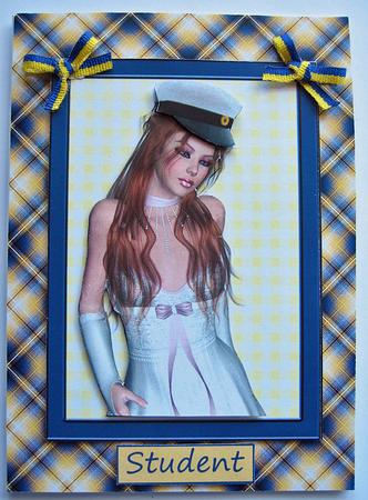 Well Plaid Spring Paper 12 by Berit Zakrisson