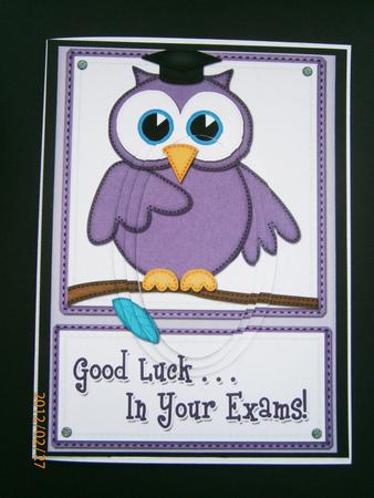 A5 Wise Owl Exam Good Luck Felties Oval Pyramage Topper by Bernie Mclaughlin