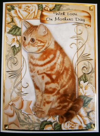 Ginger Cat with Mouse in Rose Frame by Bernie Mclaughlin