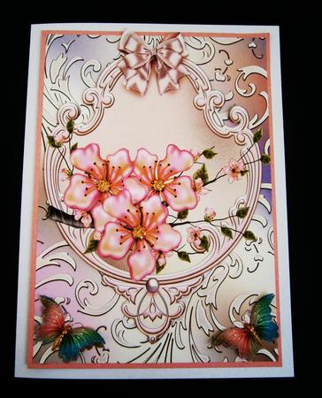 Pink Beauty by Bernie Mclaughlin