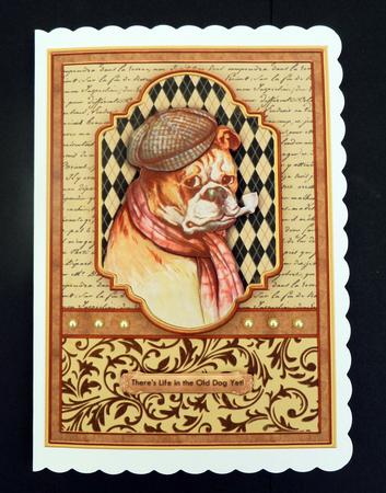Life in the Old Dog Yet Card Topper & Decoupage by Bernie Mclaughlin