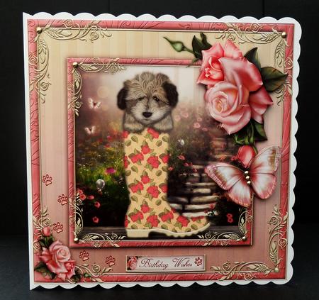 The Playful Puppy by Bernie Mclaughlin