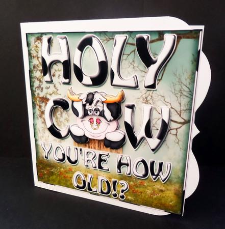 Holy Cow - you're How Old? by Bernie Mclaughlin