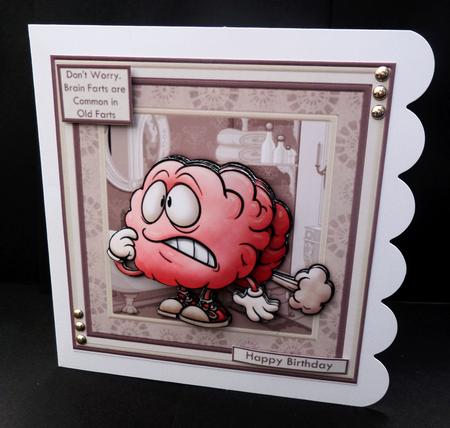 Brain Farts 7.5 Decoupage Mini Kit Various Occasions by Bernie Mclaughlin