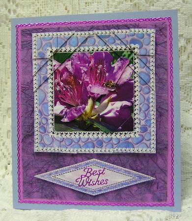 Rhododendron by Beth Schwan