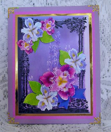 Greg's Iris by Beth Schwan
