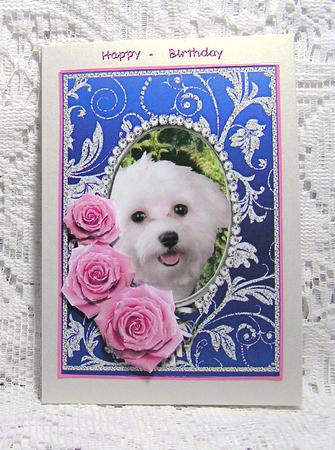 Pink Roses - White Puppy Dog - Silver Blue Card Front by Beth Schwan