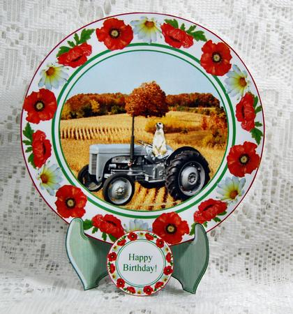 Meerkat & Tractor Poppy & Daisy Plate Card, Stand,5 x Senti by Beth Schwan