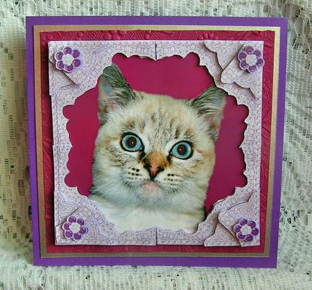 Misty a Burman Tabbypoint Kitten 3D Lace Framed Decoupage by Beth Schwan