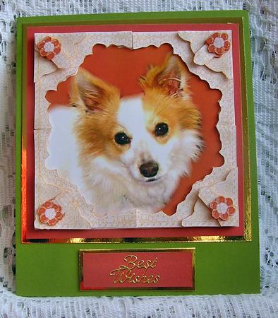 Sadie Papillon Chihuahua Puppy Dog 3D Lace Framed Decoupage by Beth Schwan