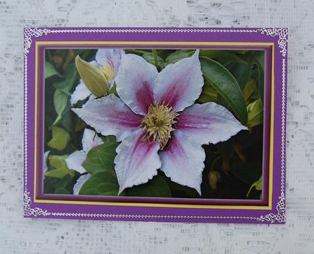 Purple Clematis Decoupage by Beth Schwan