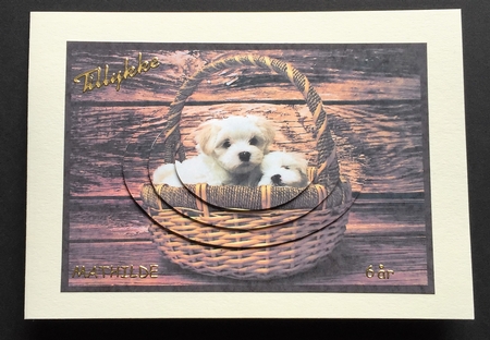 Cute Puppies in Basket Oval Pyramid by Bettina Keis Jensen