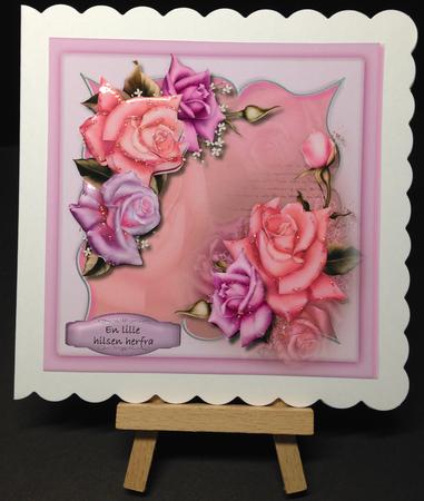 Lovely Peach Roses in Kadair Frame  by Bettina Keis Jensen