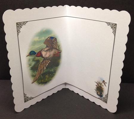 Take Flight Blank Insert by Bettina Keis Jensen