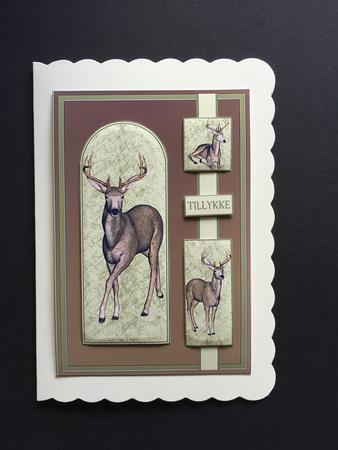 The Hunter 2 Deers by Bettina Keis Jensen