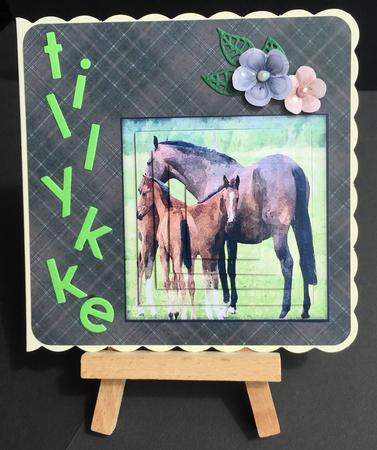 Plaid - Matching Beautiful Horse Watercolour Pyramid Topper by Bettina Keis Jensen