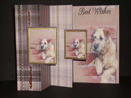 Suki Terrier by Betty Aldred